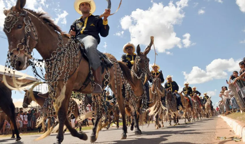 Foto: Juliano Ribeiro | Seagro