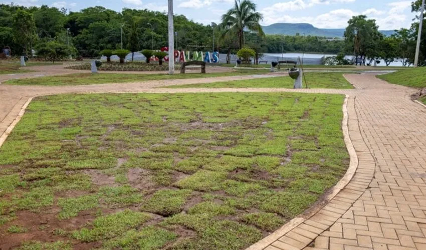 Foto: Replantio de grama