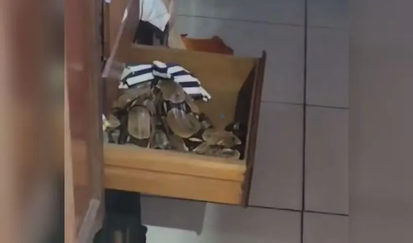 Foto: Arquivo Pessoal