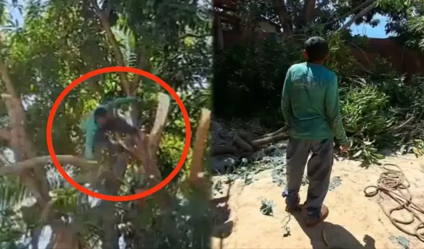 Foto: Reprodução | Notícias Guaraí