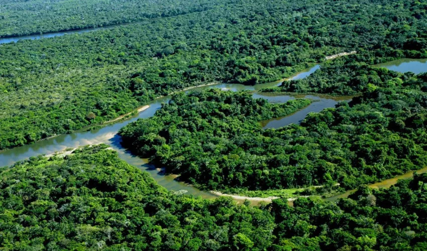 Foto: Elson Caldas | Governo do Tocantins