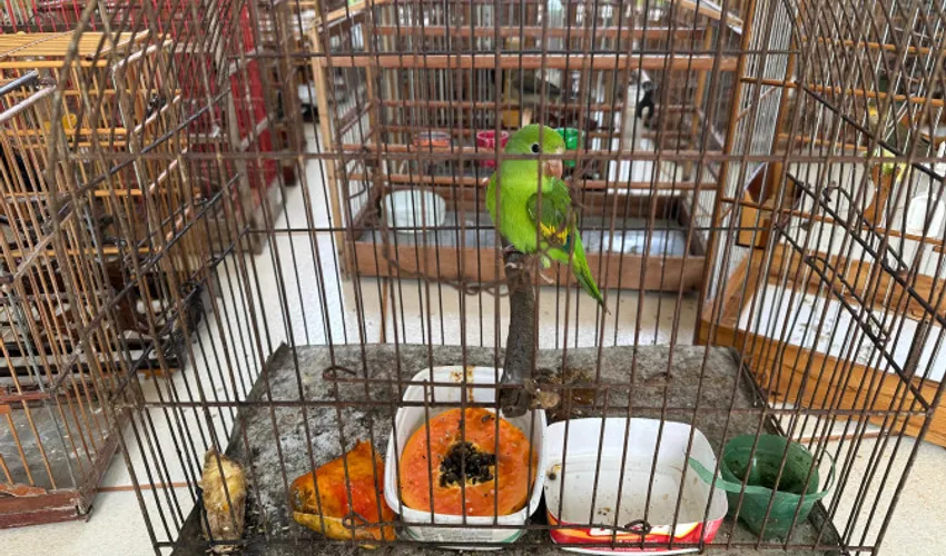 Foto: Andréa Marques | Governo do Tocantins