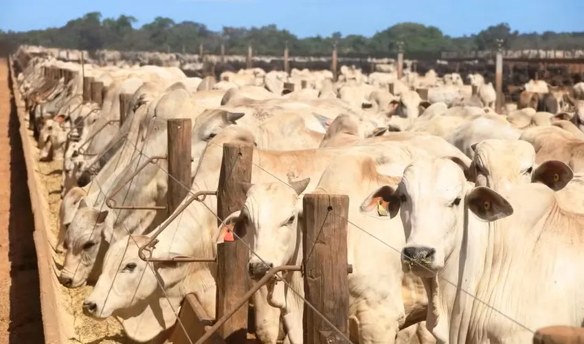  Foto: Arquivo Pessoal | Seagro