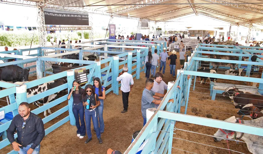 Foto: Seagro | Governo do Tocantins
