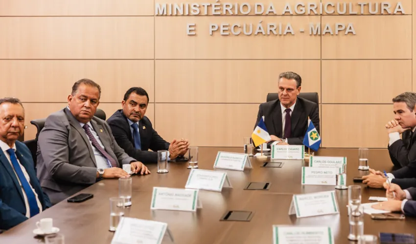 Foto: Vinícius Santa Rosa | Governo do Tocantins