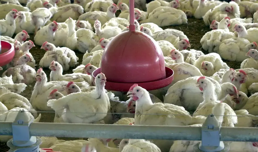 Foto: Arquivo | Agência Brasil