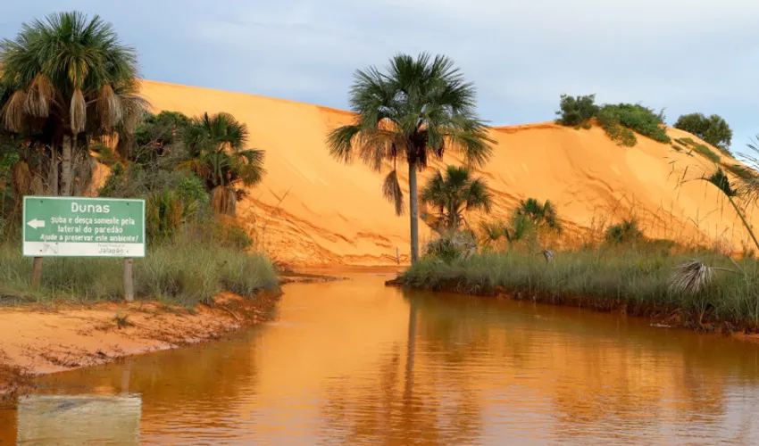Foto: Arquivo | Governo do Tocantins