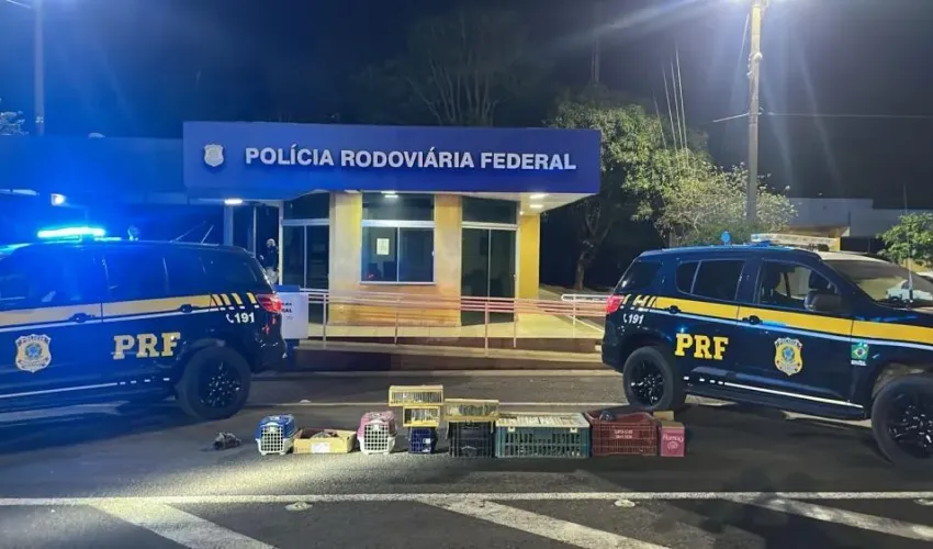 Foto: Divulgação 