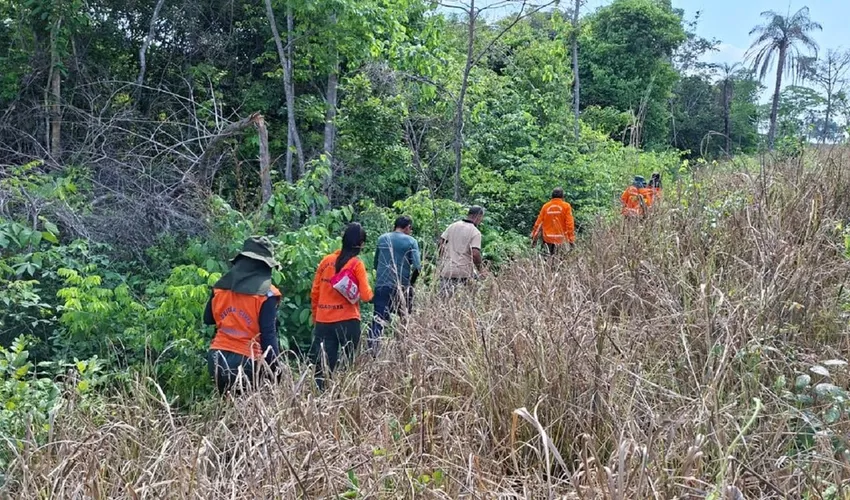 Foto: Corpo de Bombeiros | Divulgação