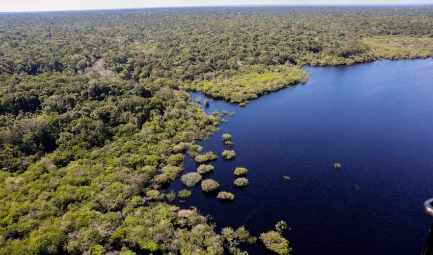Foto: Fabio Rodrigues-Pozzebom | Agência Brasil