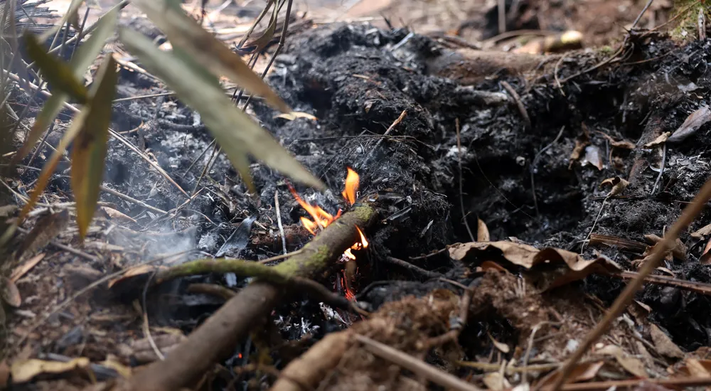 Tocantins registrou mais de 60 mil focos de queimadas no ano passado | Foto: Antônio Cruz | Agência Brasil