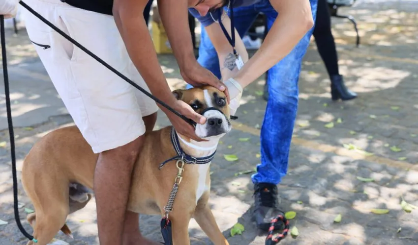 Foto: Francisco Barros | Prefeitura de Palmas