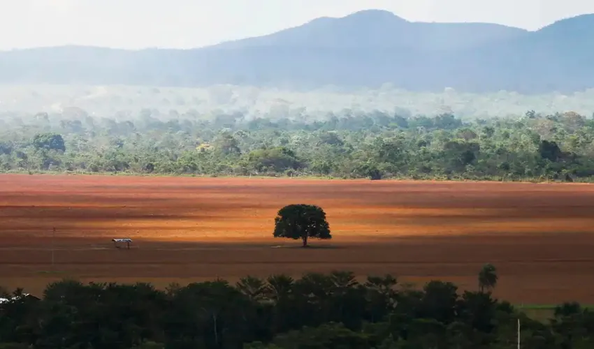 Foto: Marcelo Camargo | Agência Brasil