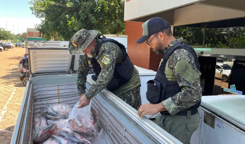Foto: Yasmin Oliveira | Governo do Tocantins