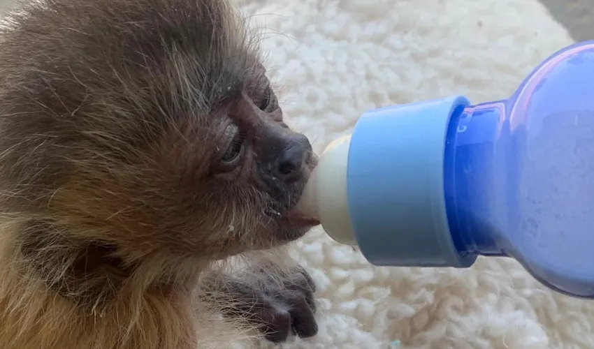 Foto: Kleidiane Araújo | Governo do Tocantins