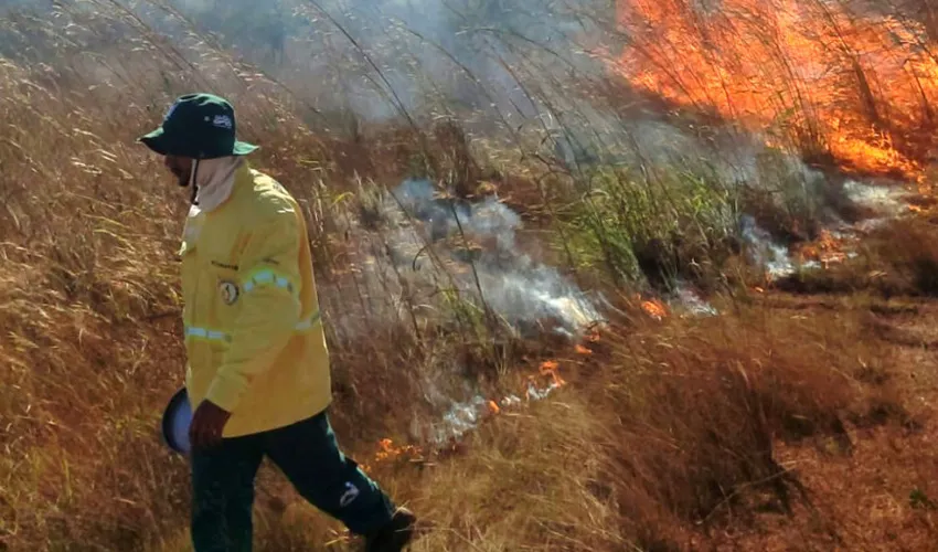 Foto: Naturatins | Governo do Tocantins