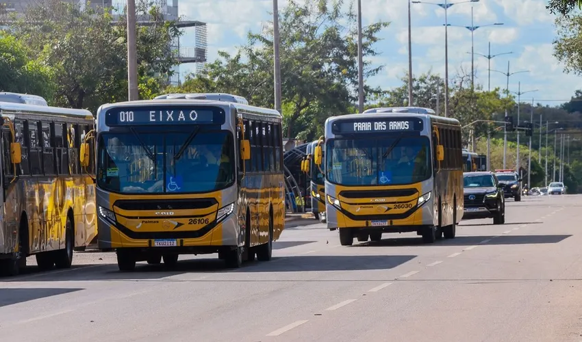 Foto: Lia Mara | Secom Palmas