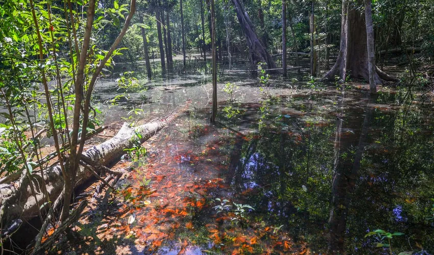 Foto: Agência Brasil