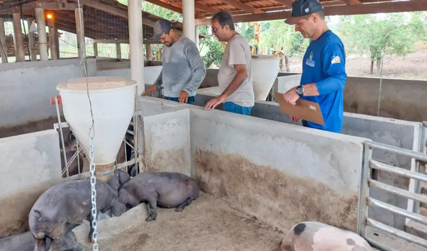  Foto: Majuh Souza | Governo do Tocantins
