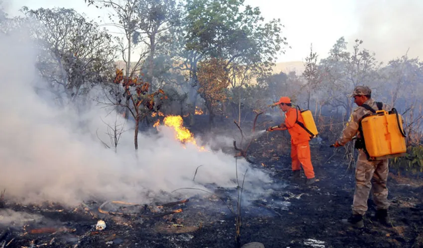 Foto: Fernando Alves | Governo do Tocantins